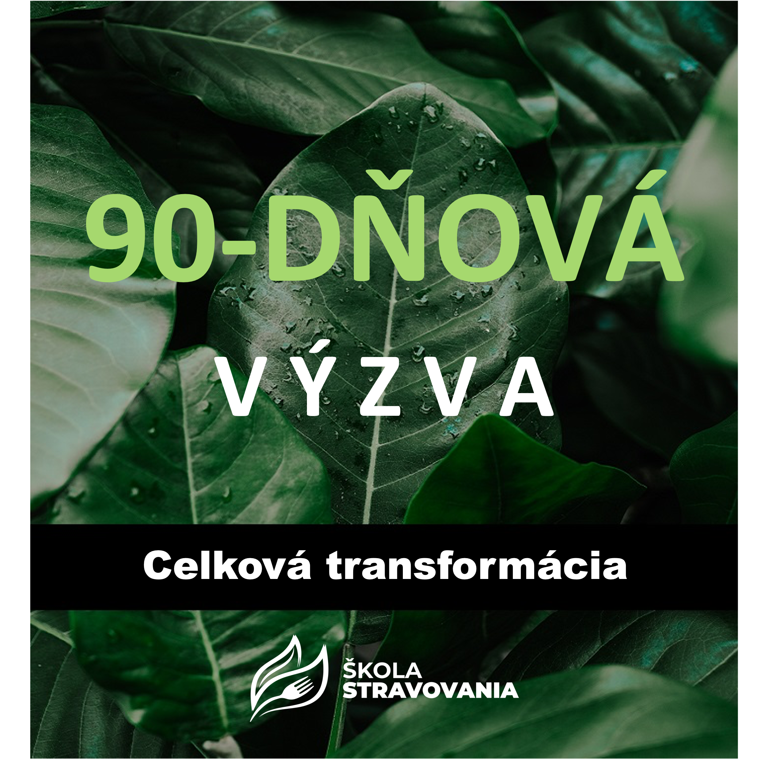 90-dňová WILDFIT Výzva so Školou stravovania