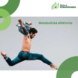 Metabolická efektivita