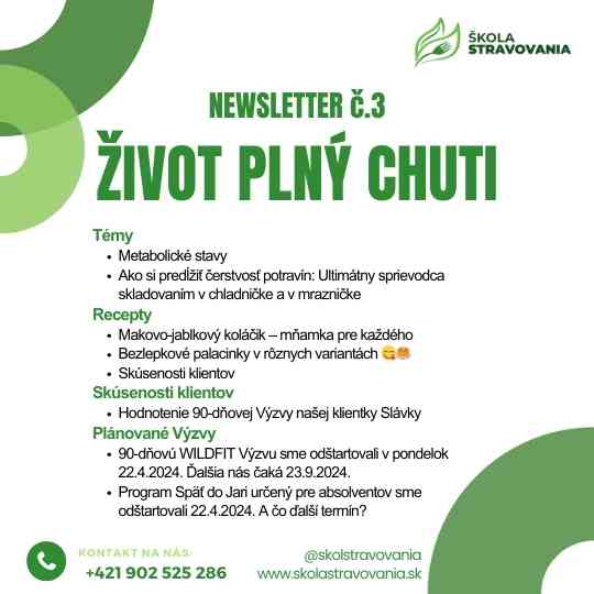 newsletter 3